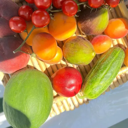 Corte San Martino Frühstückspension